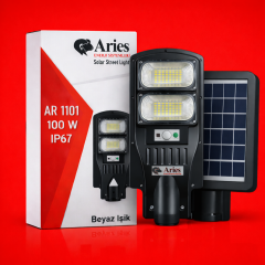 100W Güneş Enerjili Profesyonel Sokak Aydınlatma