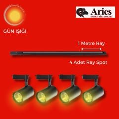 LED RAY SPOT 1 METRE RAY + 4 ADET RAY SPOT SİYAH KASA GÜN IŞIĞI