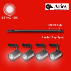 LED RAY SPOT 1 METRE RAY + 4 ADET RAY SPOT SİYAH KASA BEYAZ IŞIK