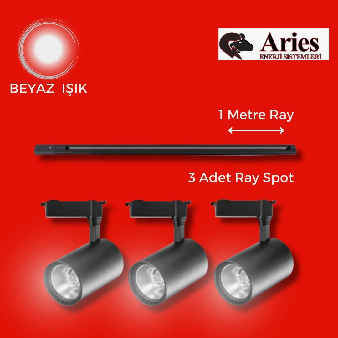 LED RAY SPOT 1 METRE RAY + 3 ADET RAY SPOT SİYAH KASA BEYAZ IŞIK