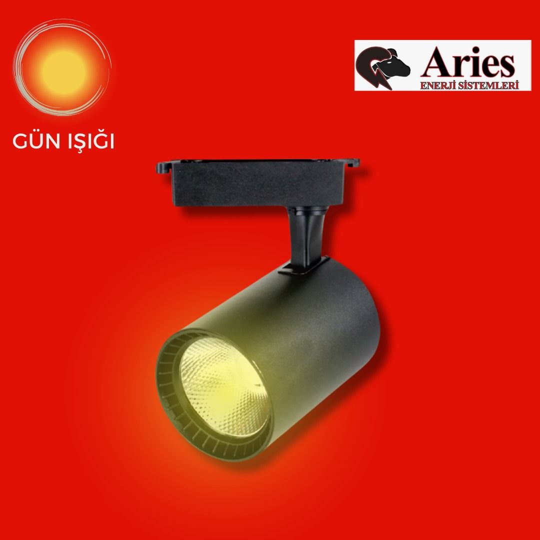 LED RAY SPOT SİYAH KASA GÜN IŞIĞI