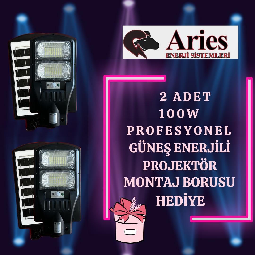 GÜNEŞ ENERJİLİ ARİES MARKA 2 ADET 100W KAMPANYASI
